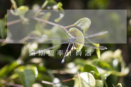 逾期费率计算器 逾期费率计算器