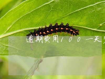 逾期费用100一天多少钱 逾期费用100一天多少钱