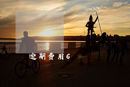 逾期费用6 逾期费用6