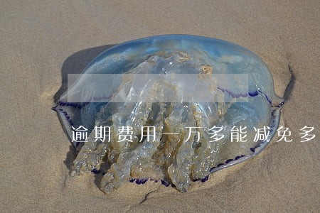 逾期费用一万多能减免多少 逾期费用一万多能减免多少