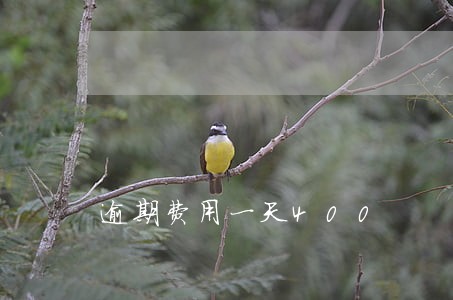 逾期费用一天400 逾期费用一天400