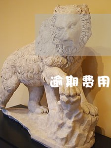 逾期费用一天六百怎么办 逾期费用一天六百怎么办