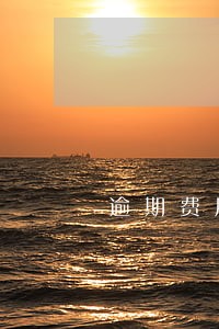 逾期费用一般多少 逾期费用一般多少