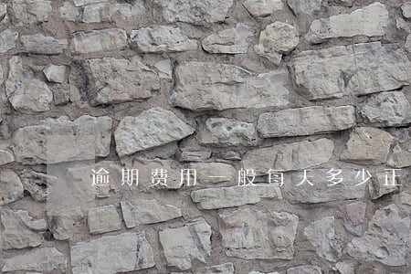 逾期费用一般每天多少正规 逾期费用一般每天多少正规