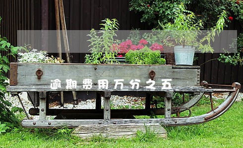 逾期费用万分之五