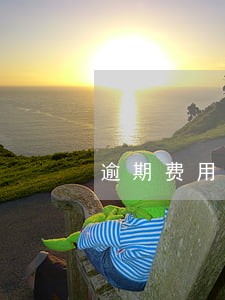 逾期费用不低于50元是什么意思 逾期费用不低于50元是什么意思