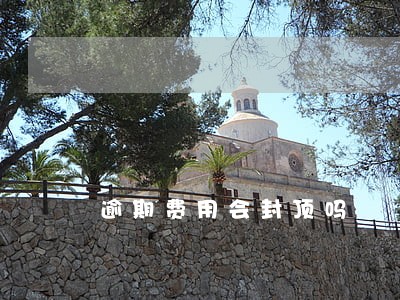 逾期费用会封顶吗 逾期费用会封顶吗