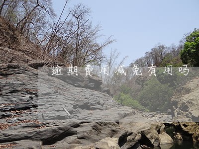 逾期费用减免有用吗