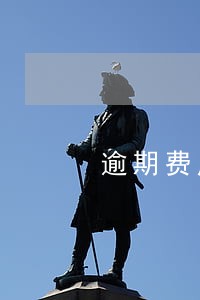 逾期费用减免规则 逾期费用减免规则