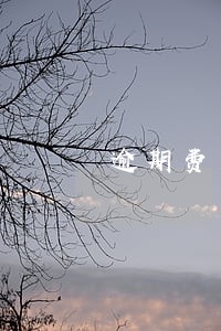 逾期费用千分之五 逾期费用千分之五