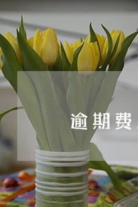 逾期费用取消了吗 逾期费用取消了吗
