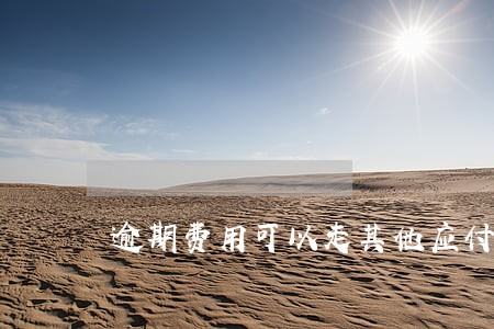 逾期费用可以走其他应付款吗 逾期费用可以走其他应付款吗