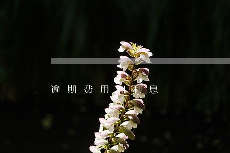 逾期费用和利息 逾期费用和利息