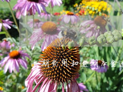 逾期费用和逾期本金逾期利息 逾期费用和逾期本金逾期利息