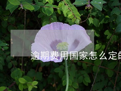 逾期费用国家怎么定的 逾期费用国家怎么定的