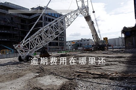 逾期费用在哪里还