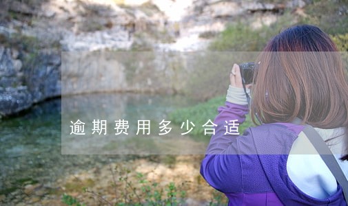 逾期费用多少合适 逾期费用多少合适