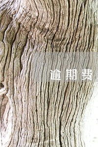 逾期费用大于本金 逾期费用大于本金