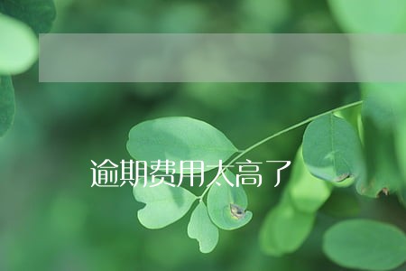 逾期费用太高了 逾期费用太高了