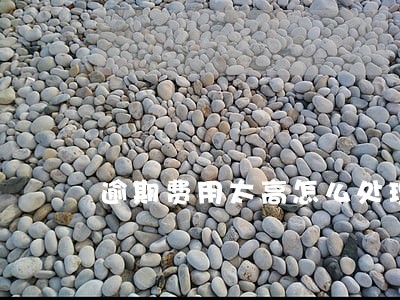 逾期费用太高怎么处理