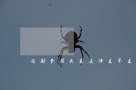 逾期费用太高法律支不支持偿还 逾期费用太高法律支不支持偿还