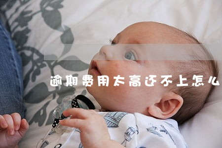 逾期费用太高还不上怎么办 逾期费用太高还不上怎么办