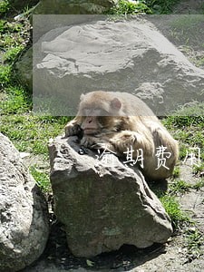 逾期费用太高违法吗 逾期费用太高违法吗