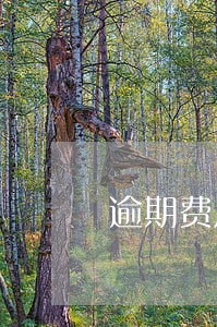 逾期费用怎么取消 逾期费用怎么取消