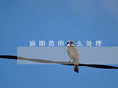 逾期费用怎么处理 逾期费用怎么处理