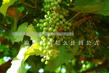 逾期费用怎么计算公式 逾期费用怎么计算公式