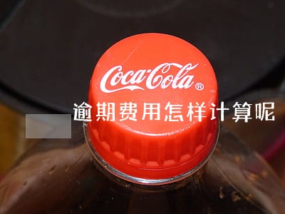 逾期费用怎样计算呢 逾期费用怎样计算呢