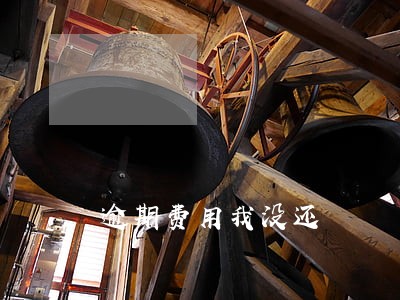 逾期费用我没还