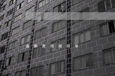 逾期费用报销单 逾期费用报销单
