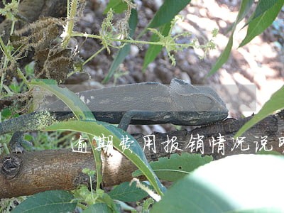 逾期费用报销情况说明 逾期费用报销情况说明