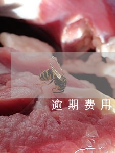 逾期费用按多少算合理 逾期费用按多少算合理