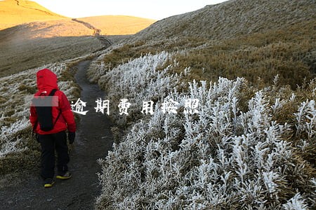 逾期费用按照 逾期费用按照
