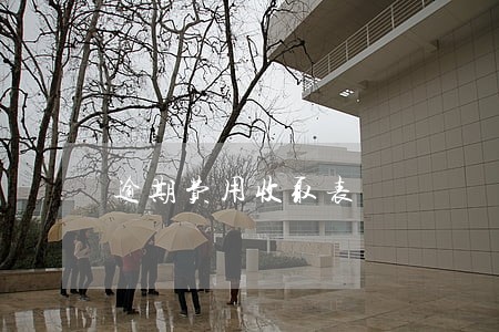 逾期费用收取表 逾期费用收取表
