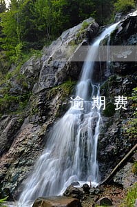 逾期费用收费合理吗