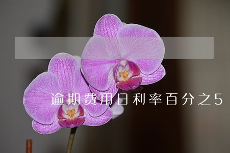 逾期费用日利率百分之5 逾期费用日利率百分之5