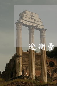 逾期费用明细表 逾期费用明细表