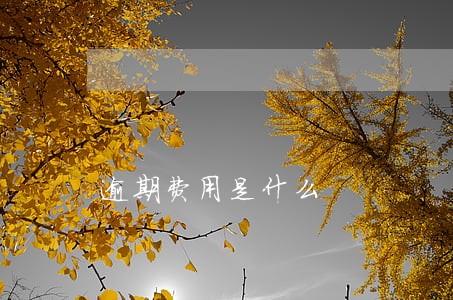 逾期费用是什么 逾期费用是什么