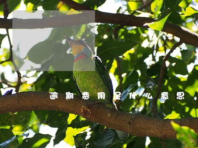 逾期费用是什么意思 逾期费用是什么意思