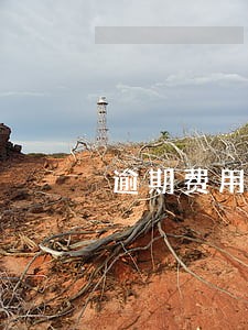 逾期费用是指 逾期费用是指