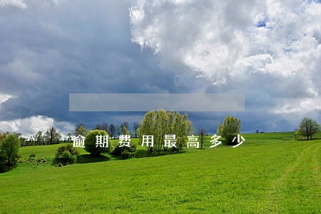 逾期费用最高多少 逾期费用最高多少