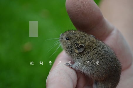 逾期费用有上限吗 逾期费用有上限吗