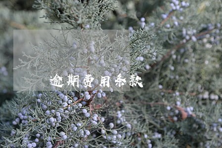 逾期费用条款 逾期费用条款