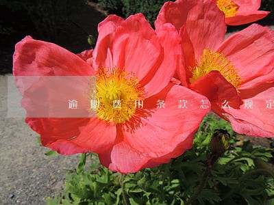 逾期费用条款怎么规定 逾期费用条款怎么规定