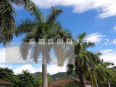 逾期费用每天千分之1 逾期费用每天千分之1
