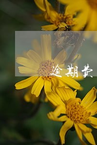 逾期费用每天多少 逾期费用每天多少