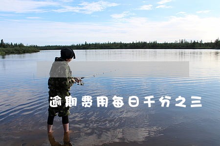 逾期费用每日千分之三 逾期费用每日千分之三